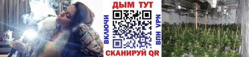 Виды наркотиков купить Сураж АМФЕТАМИН  МЕФ  ГАШ  МАРИХУАНА 
