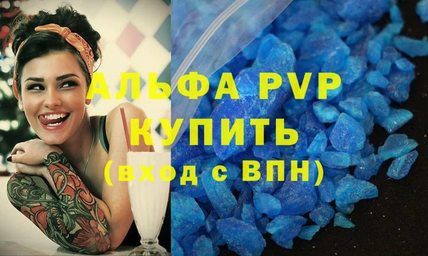 стаф Козельск