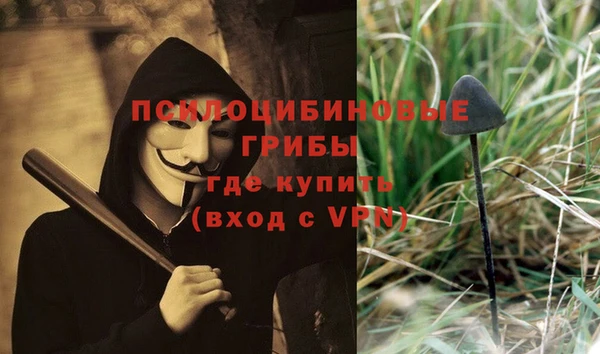 МДПВ Коряжма