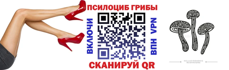 Галлюциногенные грибы Psilocybine cubensis  магазин    Сураж 